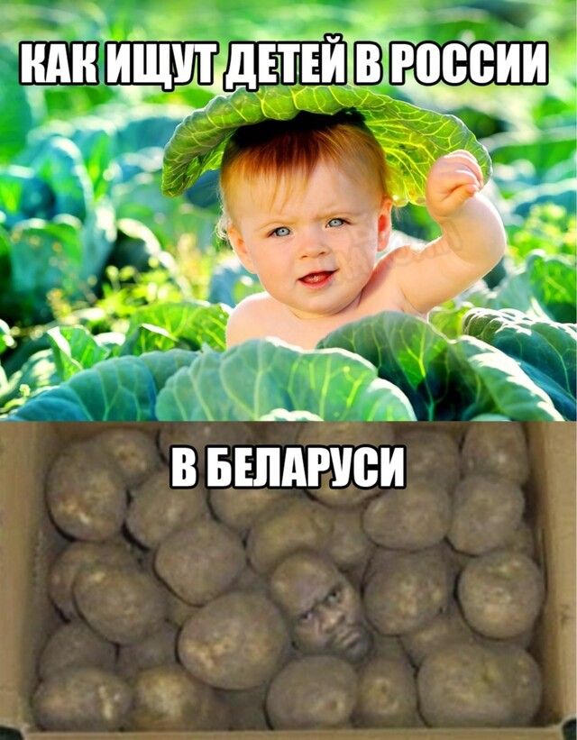 4 _ я Аі _33 ИЩУТ дЕШЕИ В МЮИ в вшдшіси