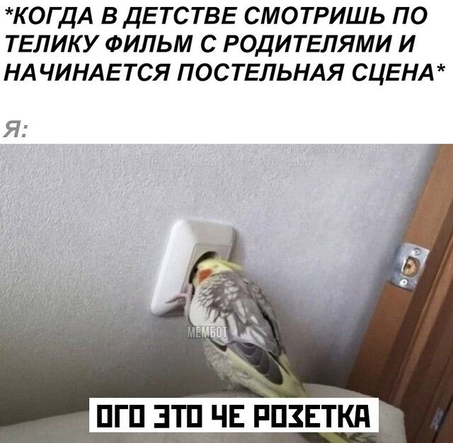 КОГДА ВДЕТСТВЕ СМОТРИШЬ ПО ТЕЛИКУ ФИЛЬМ С РОДИТЕЛЯМИ И НАЧИНАЕТСЯ ПОСТЕЛЬНАЯ СЦЕНА Я ПГП ЭТП ЧЕ РПЗЕТКд 1