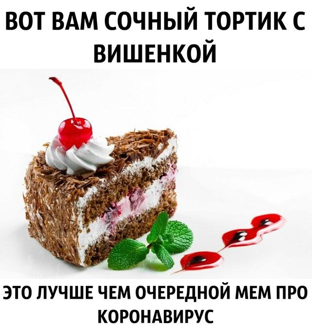 вот вдм сочный тортик с вишвнкой ЭТО ЛУЧШЕ ЧЕМ ОЧЕРЕДНОЙ МЕМ ПРО КОРОНАВИРУС х проянский кот