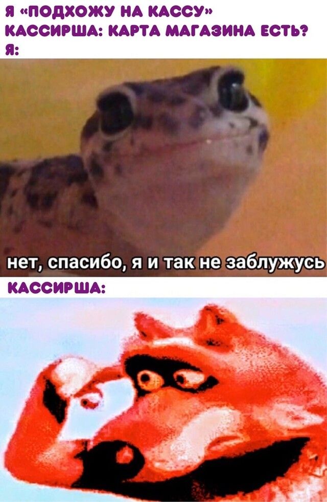 я подхожу НА КАООУ кдссигшд КАРТА МАГАзинА ЕСТЬ я нет спасибо я и так не заблужусь