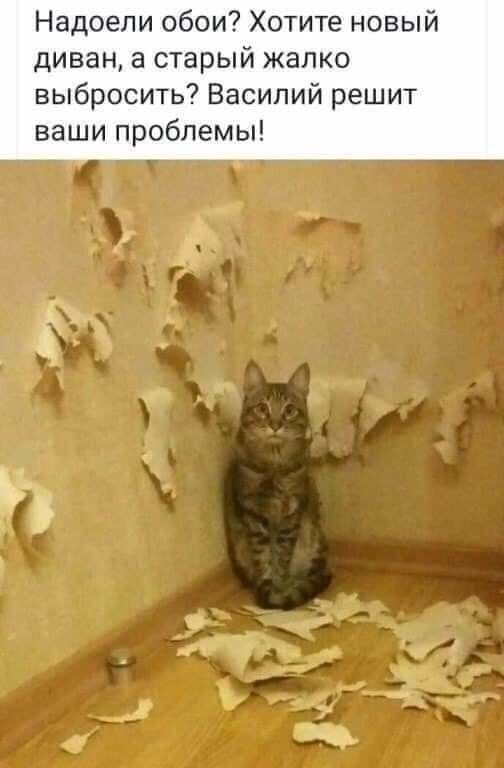 Надоели обои Хотите новый диван а старый жалко выбросить Василий решит ваши проблемы