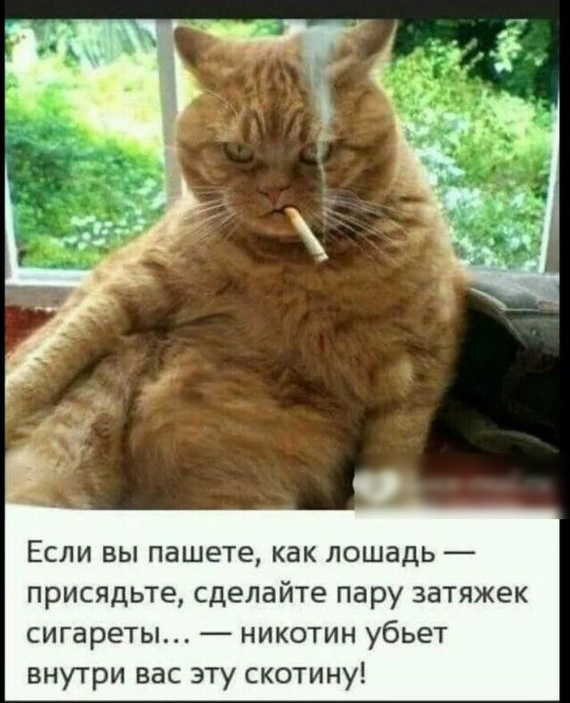 Если вы пашете как лошадь присядьте сделайте пару затяжек сигареты никотин убьет внутри вас эту скотину