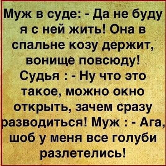 Муж в суде дане буду я с ней жИтв Она _в спальне козу держит вонище повСюду Судья Нучто это такое можно окно ткрыть зачем Сразу аЗВодиться Муж га у меня все голуби разлетелись
