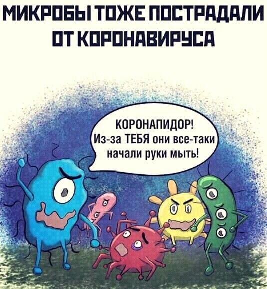 МИКРПЕЫ ТПЖЕ ППЕТРддППИ ПТ КПРПНПВИРНБП КОРОНАПИДОР Из за ТЕБЯ они все таки начали руки мыть