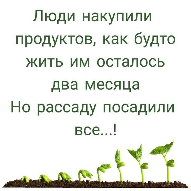 Люди накупили продуктов как будто жить им осталось два месяца Но рассаду посадили все
