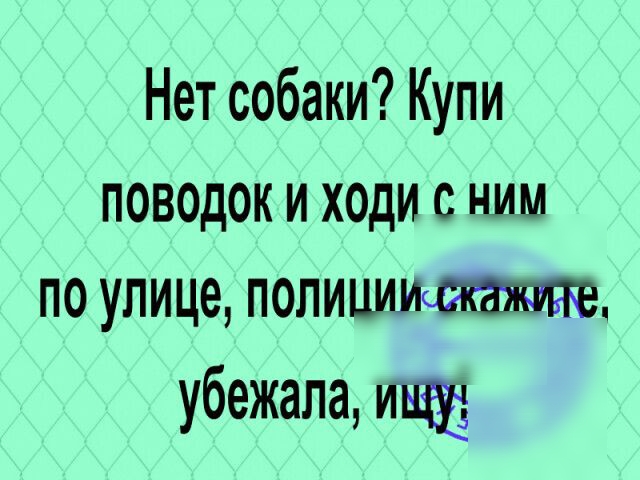 Нет собаки Купи поводок и ходи с ним по улице полиции убежала пыщ