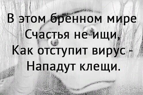 В этом нном мире Счёстья нетідщидг Как отступит вирус Нападут клещи 336