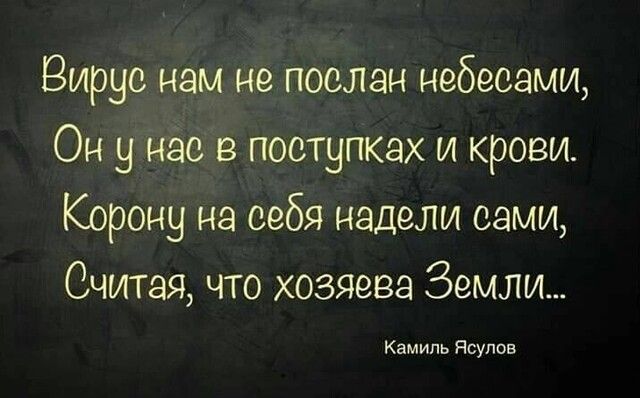 Вирус нам не послан небесами Он у нас в поступках и крови Корону на себя надели сами Считая что хозяева Земли Камиль Ясупов