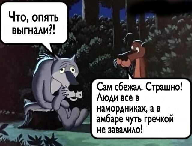 Что опять выгнаАИ Сам сбежаА Страшно АюАи все в намордниках а в амбаре чуть гречкой не заваАИю