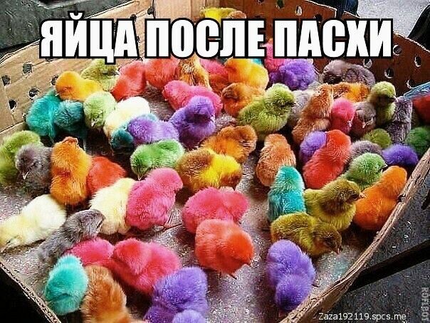 13192