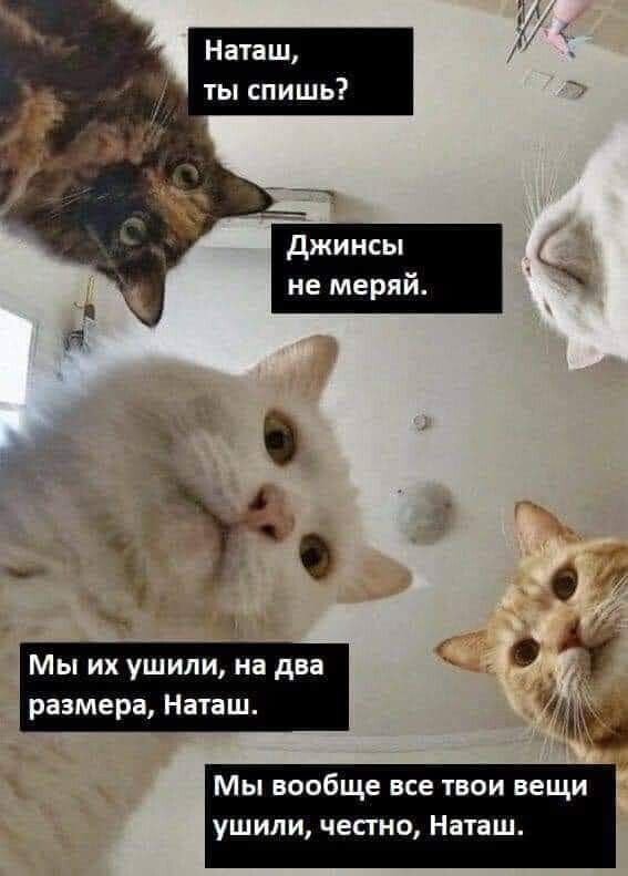 Ал Наташ ты спишь джинсы не меряй 4 О размера Наташ а 4 Мы вообще все твои вещи ушипи честно Наташ