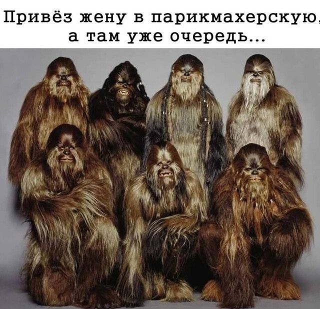 Привёз жену в парикмахерскую а там уже очередь