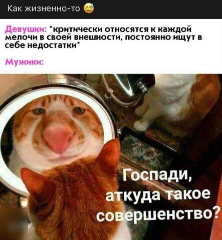 Как жизненнойто крцтичекки относятся к каждой мелочи в своеи внешности постоянно ищут в себе иепостатки Госэадщ аткудаітакое сотршенство