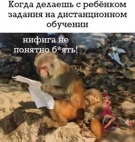 Когда делаешь с ребёнком задания на дИСТаНЦИОННОМ обучении нифига не _ понятно бять