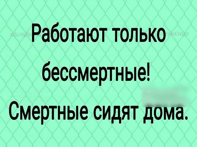 Работают только бессмертные Смертные сидят дома