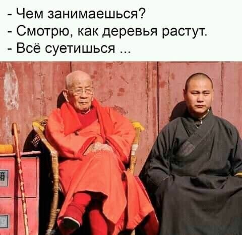Чем ЗЕНИМЭЕШЬСЯ Смотрю как деревья растут Всё суетишься С 79