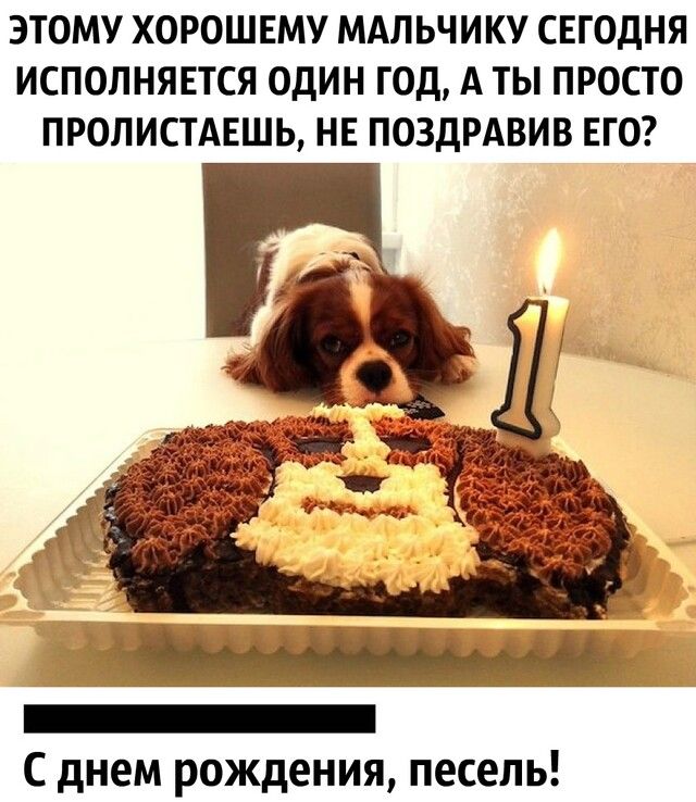 ЭТОМУ ХОРОШЕМУ МАЛЬЧИКУ СЕГОДНЯ ИСПОЛНЯЕТСЯ ОДИН ГОД А ТЫ ПРОСТО ПРОЛИСТАЕШЬ НЕ ПОЗДРАВИВ ЕГО С днем рождения песель