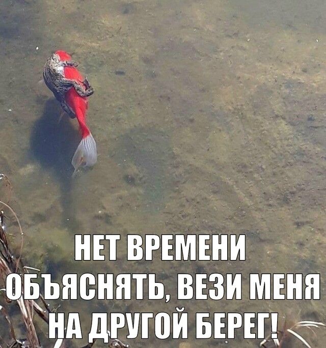 нп връмвни Жёъненятцрвзимъня 31 нд двугпи ыгщё