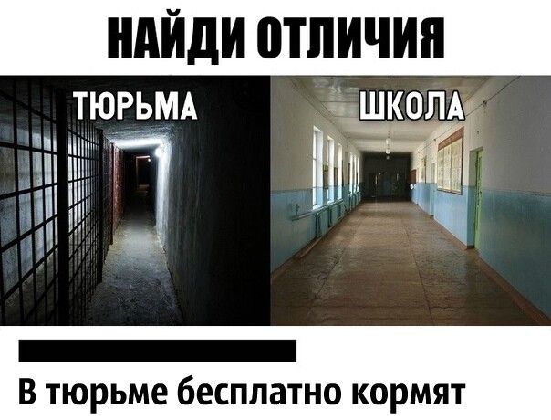 ТЮРЬМА 3К0ЛАш и іпп И п _ В тюрьме бесплатно кормят