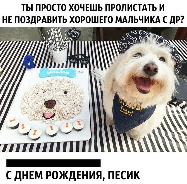 ТЫ ПРОСТО ХОЧЕШЬ ПРОЛИСТАТЬ И НЕ ПОЗДРАВИТЬ ХОРОШЕГО МАЛЬЧИКА С ДР и С днТ 1 _5 С дНЕМ РОЖДЕНИЯ ПЕСИК