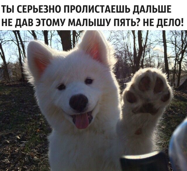ТЫ СЕРЬЕЗНО ПРОПИСТАЕШЬ ДАЛЬШЕ НЕ ДАВ ЭТОМУ МАЛЫШУ ПЯТЬ НЕ дЕЛО