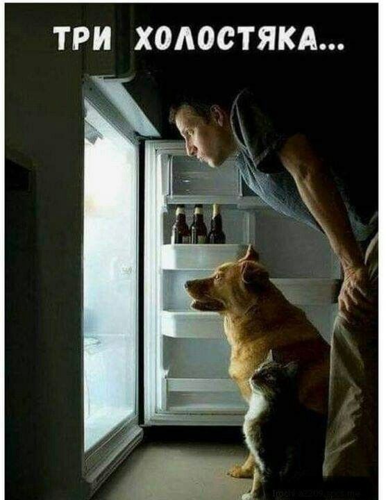 ТРИ ХОАОСТЯКА