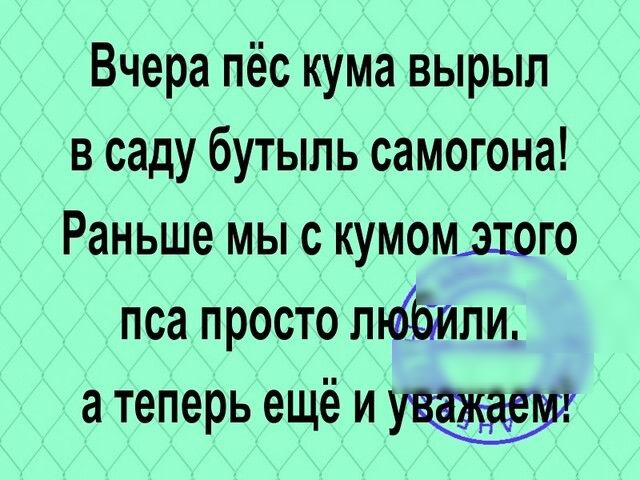 Вчера пёс кума вырыл в саду бутыль самогона Раньше мы с кумомшго пса просто мобили а теперь ещё и