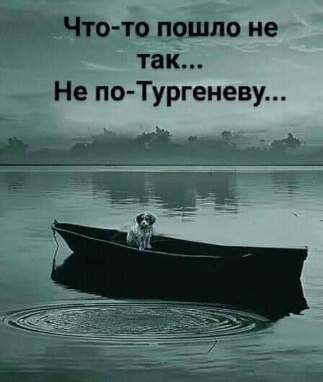 Что то пошло не так Не по Тургеневу