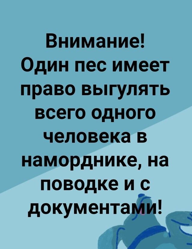 Внимание Один пес имеет право выгулять всего одного человека в наморднике на поводке и с