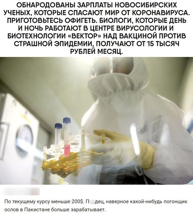 ОБНАРОДОБАНЫ ЗАРПЛАТЫ НОБОСИБИРСКИХ УЧЕНЫХ КОТОРЫЕ СПАСАЮТ МИР ОТ КОРОНАВИРУСА ПРИГОТОВЬТЕСЬ ОФИГЕТЬ БИОЛОГИ КОТОРЫЕ дЕНЬ И НОЧЬ РАБОТАЮТ В ЦЕНТРЕ ВИРУСОЛО_ГИИ И БИОТЕХНОЛОГИИ ВЕКТОР НАД ВАКЦИНОИ ПРОТИВ СТРАШНОИ ЭПИДЕМИИЗ ПОЛУЧАЮТ ОТ 15 ТЫСЯЧ РУБЛЕИ МЕСЯЦ По текущему курсу меньше 200 п дец наверное какой нибудь Погонщик ослов Пакистане больше зарабатывает