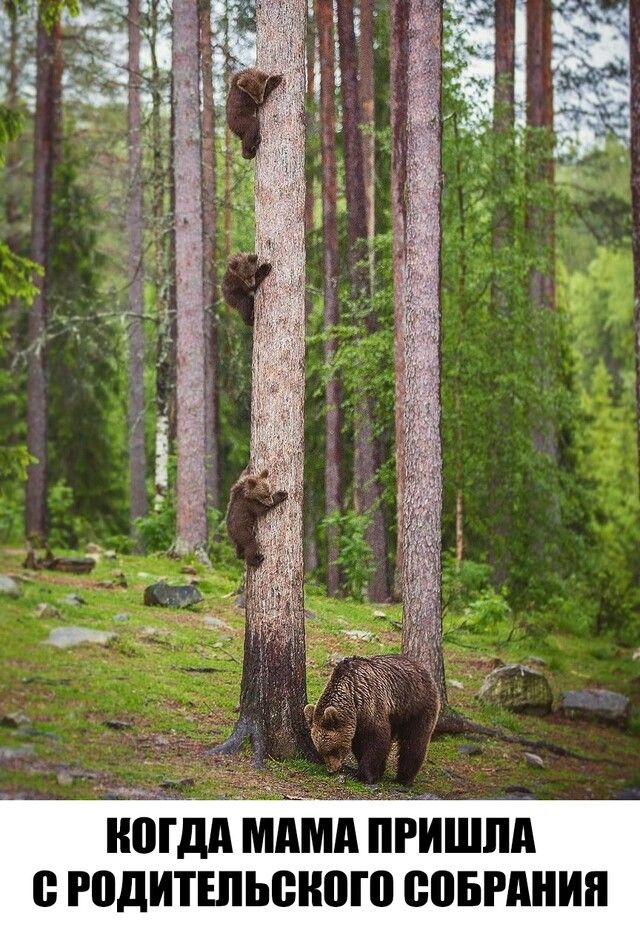 и ппц пы 0 Ре _Мцп А м шт на В