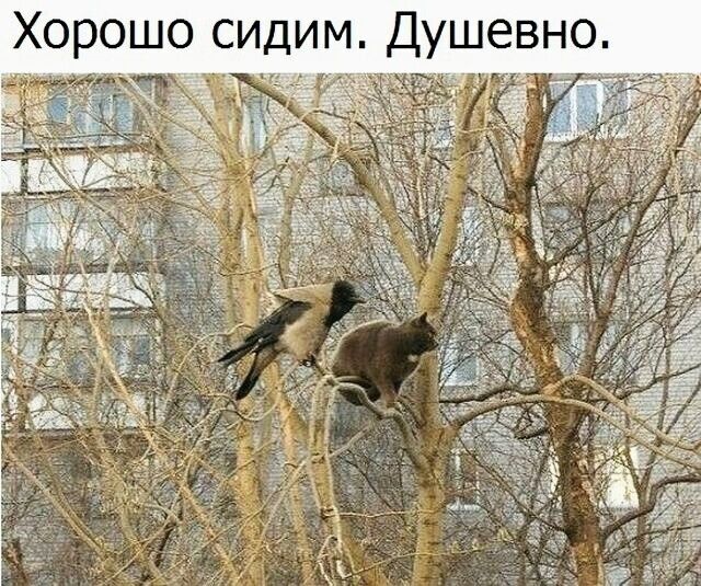 Хорошо сидим Душевно пдд