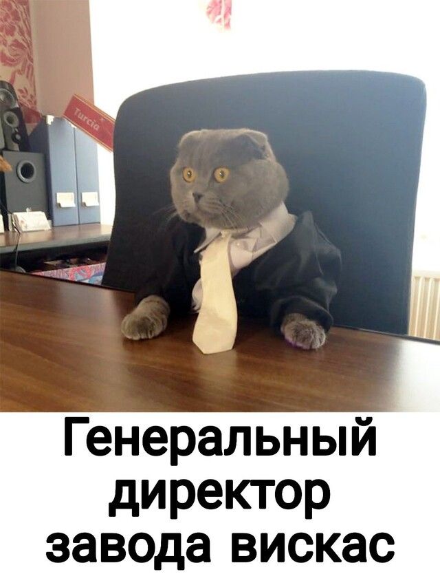 Мужик он в любом возрасте мужик