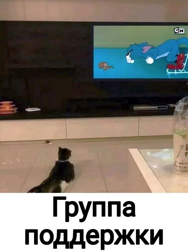 группа поддержки