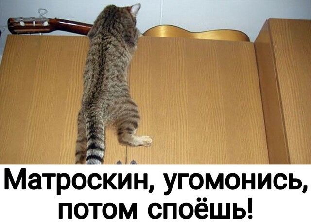 потом споёшь