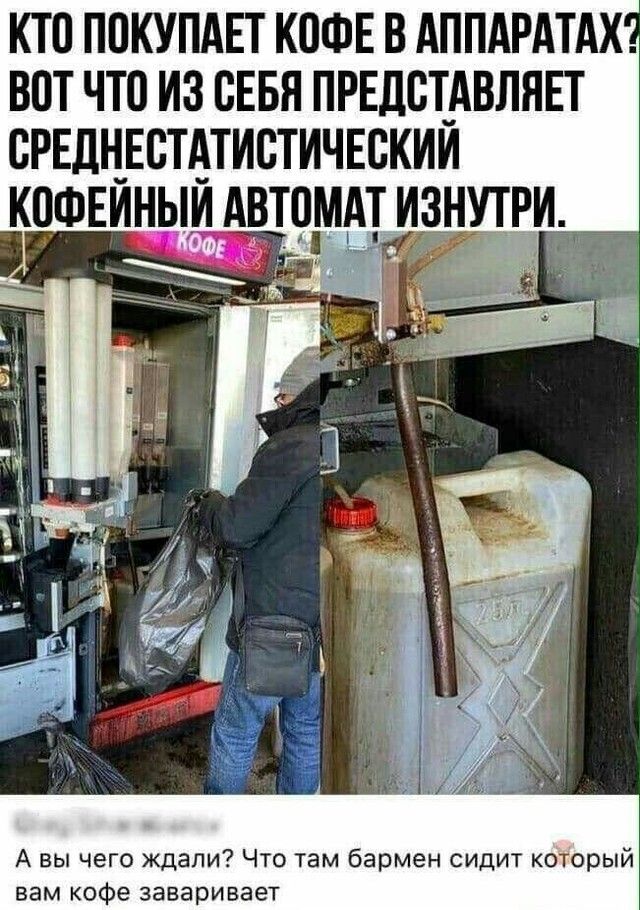 кто покупднт кошн в АППАРАТАХ вот что из сЕвя прндстдвлявт срндцвстдтистичнскии котниныи АТОММИУТ А вы чего ждали Что там бармен сидит который вам кофе заваривает
