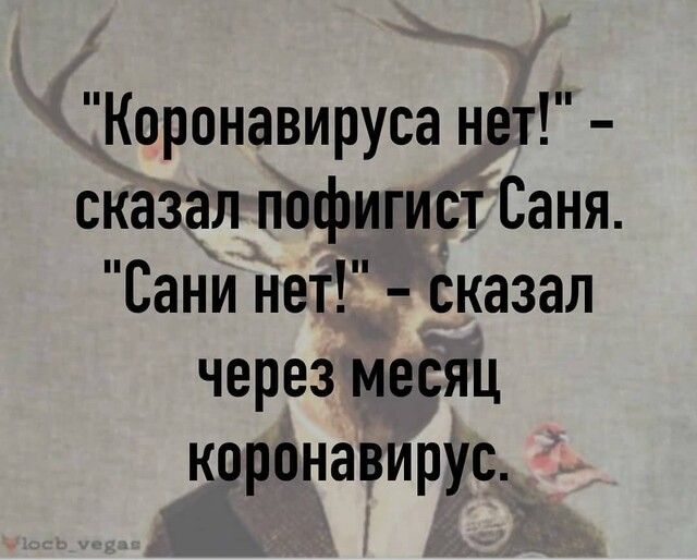 Коронавируса нет сказал пофигист Саня Сани нет сказал через месяц коронавирус