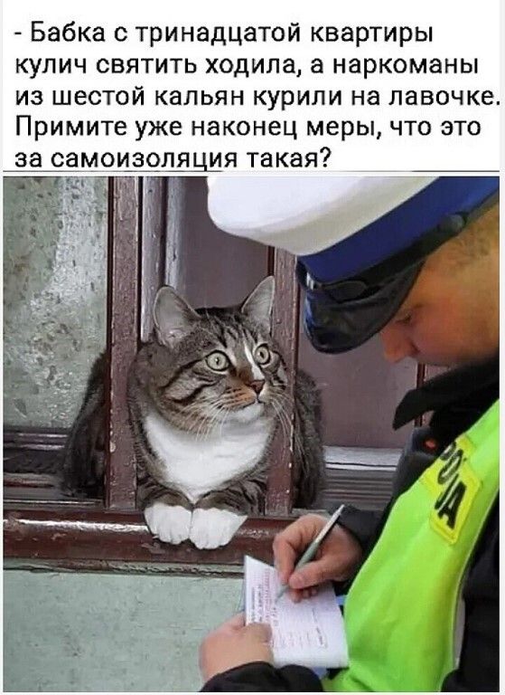Бабка с тринадцатой квартиры кулич святить ходила а наркоманы из шестой кальян курили на лавочке Примите уже наконец меры что это я такая