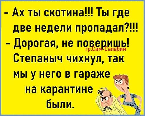 Ах ты скотина Ты где две недели пропадатт _ дорогая ие пицца Впишиш чихнул так мы у него гараж на карантине были 9