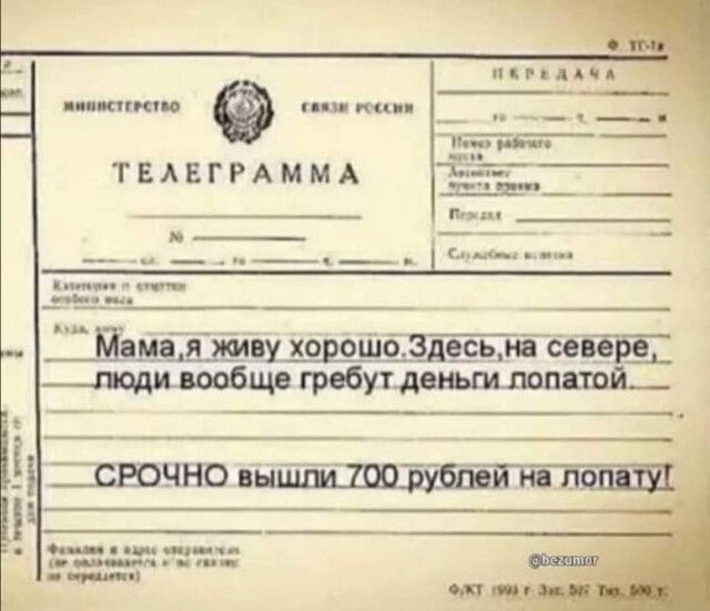 пдпддід пианист пвд тп ТЕАЕГРАММА