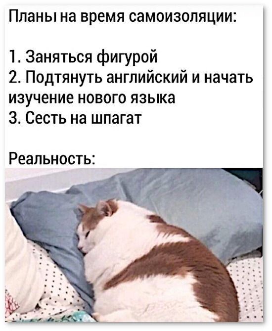 планы на время СЭМОИЗОЛЯЦИИЕ 1 Заняться фигурой 2 Подтянуть английский и начать изучение нового языка 3 Сесть на шпагат Реальность _
