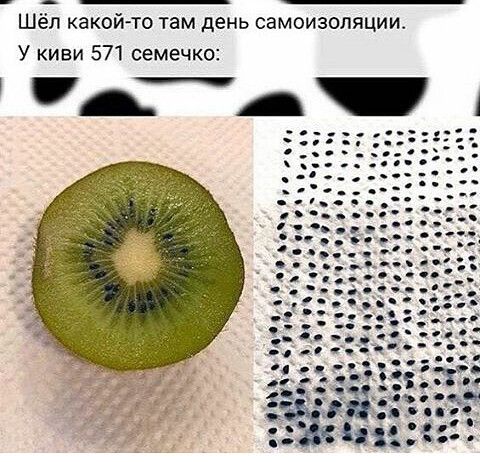 Шёл какой то там день самоизопяциш У киви 571 семечко А