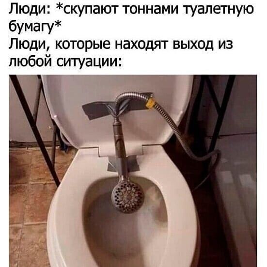 Люди скупают тоннами туалетную бумагу Люди которые находят выход из любой ситуации