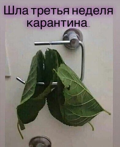 Шла третья неделя карантина
