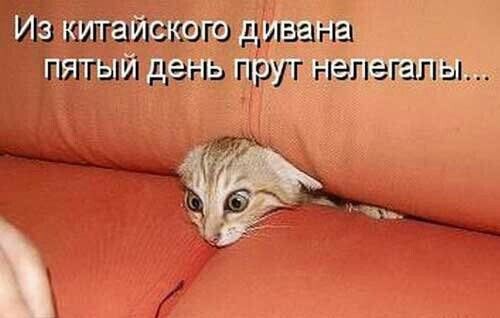 ЁЁ ъчиіііайіёногэ дивана шитый День прут нелегалы