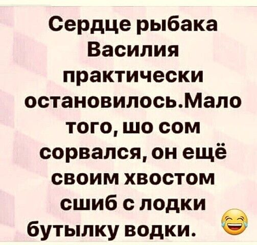 Сердце рыбака Василия практически остановилосьМало того шо сом сорвался он ещё своим хвостом сшиб с лодки бутылку водки