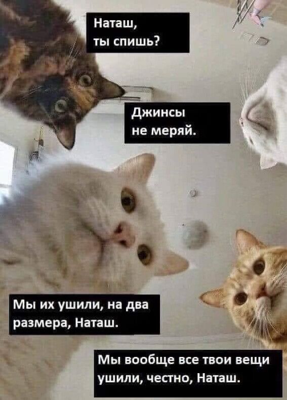 Наташ ты спишь 4 _ с О размера Наташ а на Мы вообще все твои вещи ушипи честно Наташ