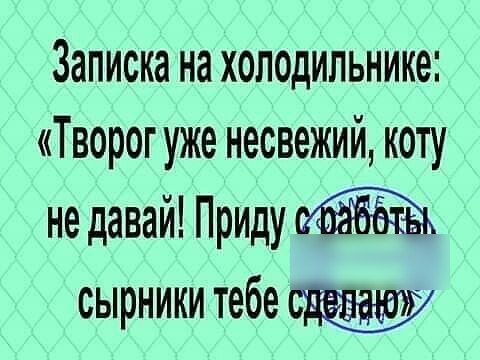 Записка на холодильнике Творог уже несвежий кот не давай Приди сырники тебе