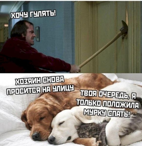 1 хпчн гнпяты внпвп я нв НПИЦН _5388ШПЧЕРЕДЬ я