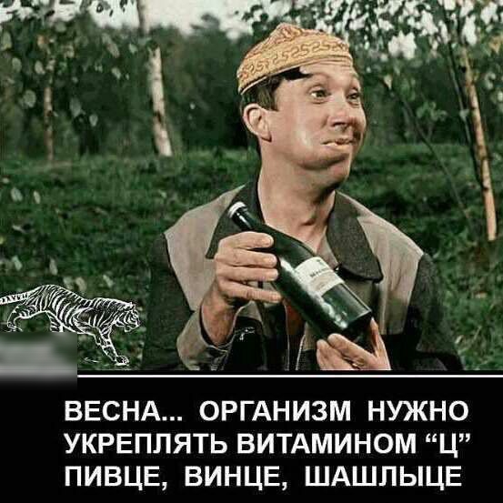 ВЕСНА ОРГАНИЗМ НУЖНО УКРЕПЛЯТЬ ВИТАМИНОМ Ц ПИВЦЕ БИНЦЕ ШАШПЫЦЕ